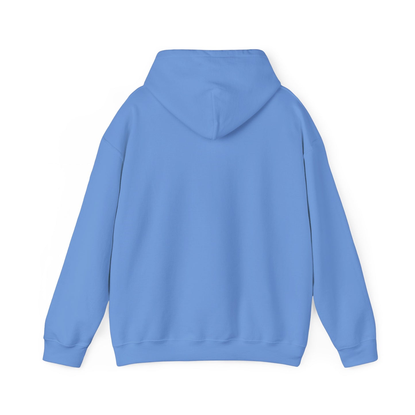 Hooded Sweatshirt - Eagles Football Inspired, It's a Philly Thing