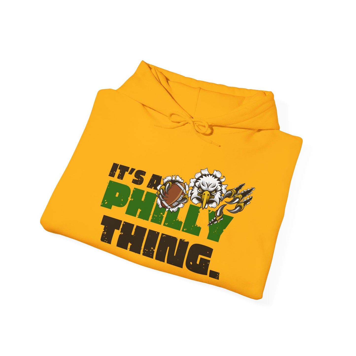 Hooded Sweatshirt - Eagles Football Inspired, It's a Philly Thing