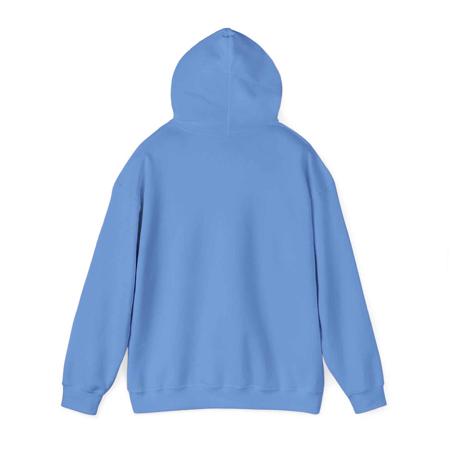 Hooded Sweatshirt - Eagles Football Inspired, It's a Philly Thing
